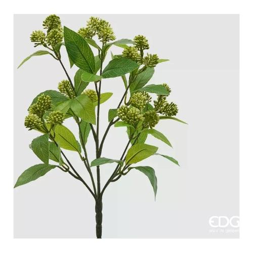 Edg Mazzetto Viburno Light Green (38cm) 2300519A771