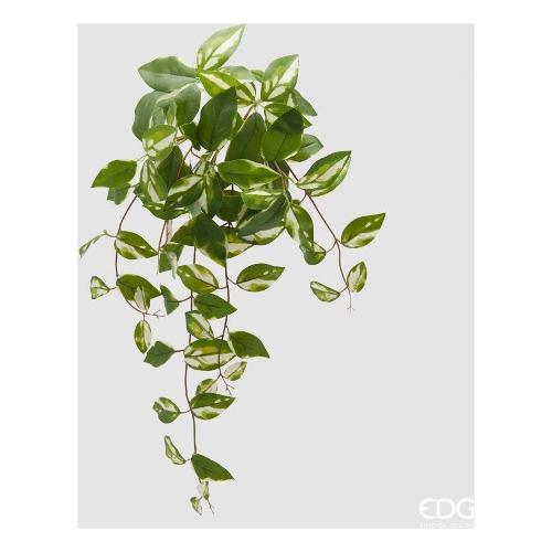 Edg Mazzetto Potus  White Green (60cm) 2300227A170