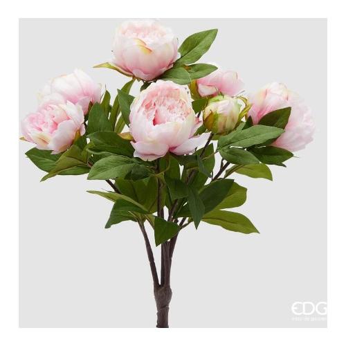 Edg Mazzetto Peonia Light Pink (53cm) 2100546A552