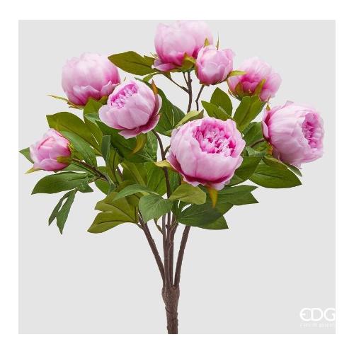 Edg Mazzetto Peonia Dark Pink (53cm) 2100546A553