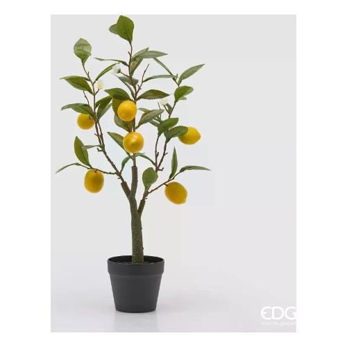 Edg Pianta artificiale Vaso Limone Yellow con frutti (60cm) 2500135A200