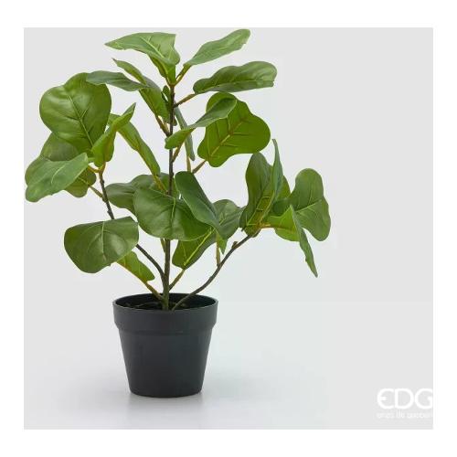 Edg Pianta artificiale Vaso Ficus Lyrata Green (45cm) 2300510A700