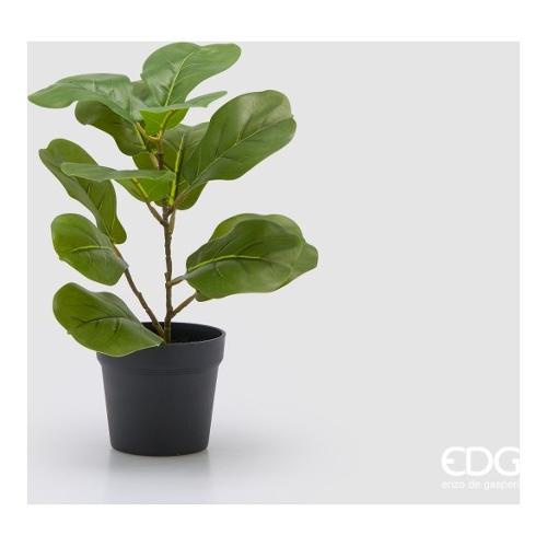 Edg Pianta artificiale Vaso Ficus Lyrata Green (32cm) 2300509A700