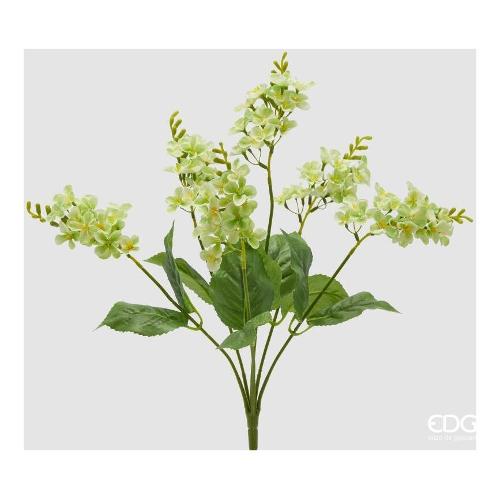 Edg Mazzetto Lilla Green (50cm) 2100417A700