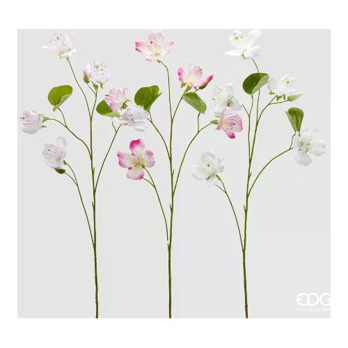 Edg Stelo Bauhina White Pink (105cm) assortito 2100400A150