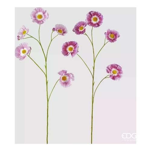 Edg Stelo Cosmos TTpink (110cm) 2100386A555