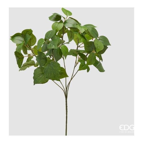 Edg Stelo Foglia edera west light green (60cm) 232148 771