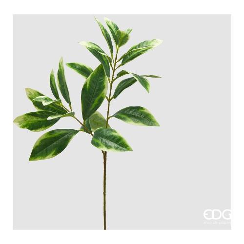 Edg Stelo Foglia ligustro Yellow green (73cm) 2300427A270