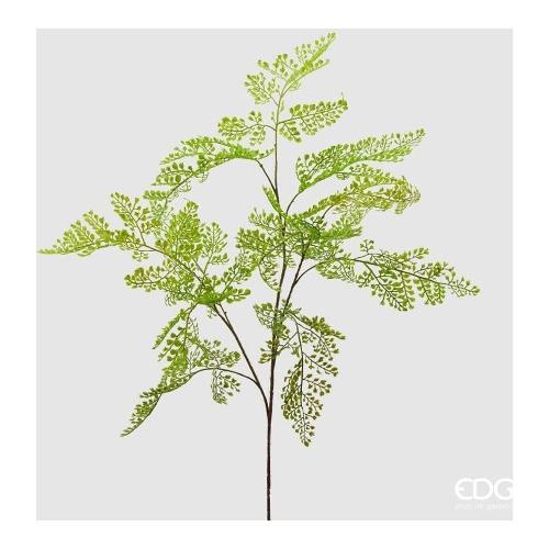 Edg Stelo Foglia capelvenere green (105cm) 232785 700