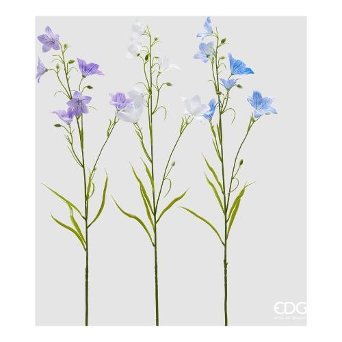 Edg Stelo Campanula  White blue (70cm) assortito 2100351A180