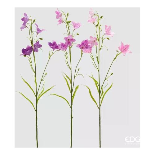 Edg Stelo Campanula  TT Pink (70cm) Assortito 2100351A555