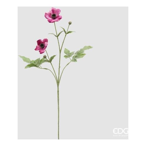 Edg Stelo Anemone beauty (70cm) 2100197A557