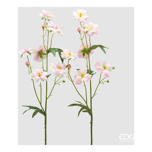 Edg Stelo Camelia  TT Pink (80cm) assortito 2100638A555