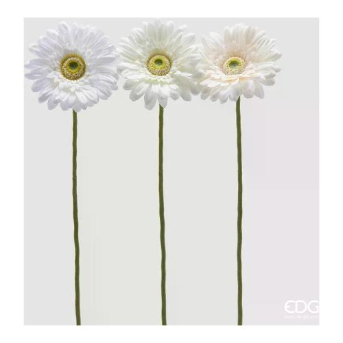 Edg Stelo Gerbera multicolor (30cm) assortito 2100632A999
