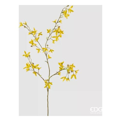 Edg Stelo Forsitzia yellow (150cm) 2100631A200