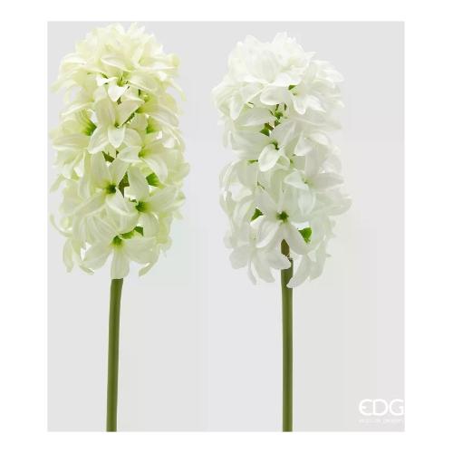 Edg Stelo Giacinto  White green (45cm) assortito 2100303A170