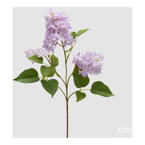 Edg Stelo Lillà lilac (78cm) 2100608A663