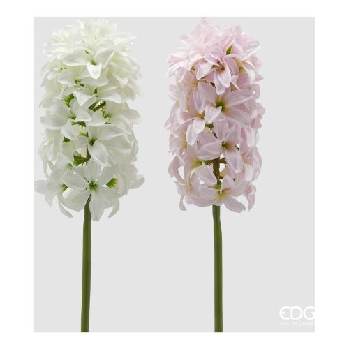 Edg Stelo Giacinto  W.pink (45cm) assortito 2100303A150
