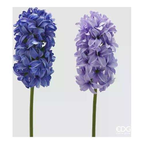 Edg Stelo Giacinto  Violet (45cm) assortito 2100303A699
