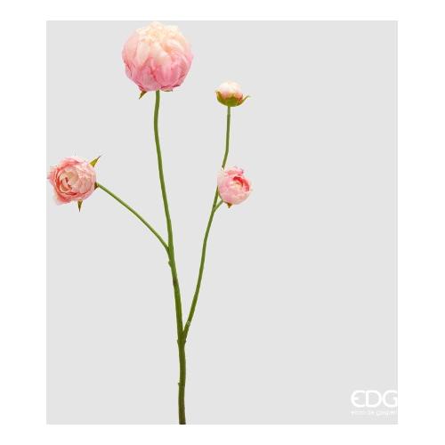 Edg Stelo Peonia dark pink (66cm) 2100567A553
