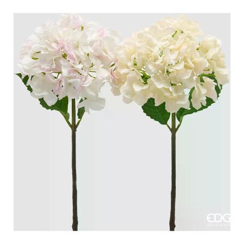 Edg Stelo Ortensia  White pink (50cm) assortito 2100670A150