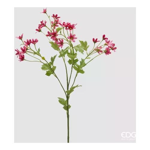 Edg Stelo Margherita fucsia (70cm) 2100342A559
