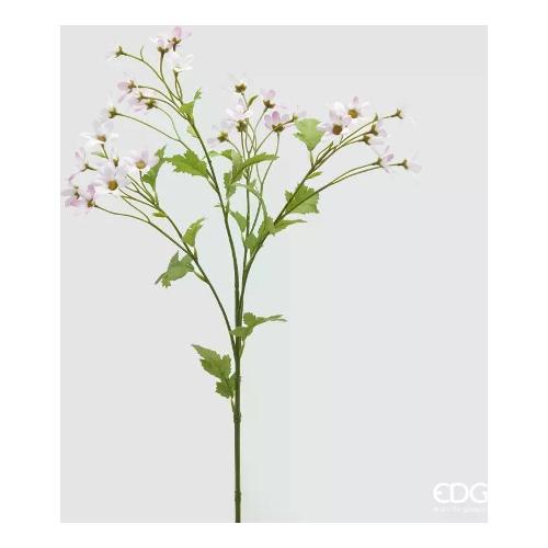 Edg Stelo Margherita pale pink (70cm) 2100342A551