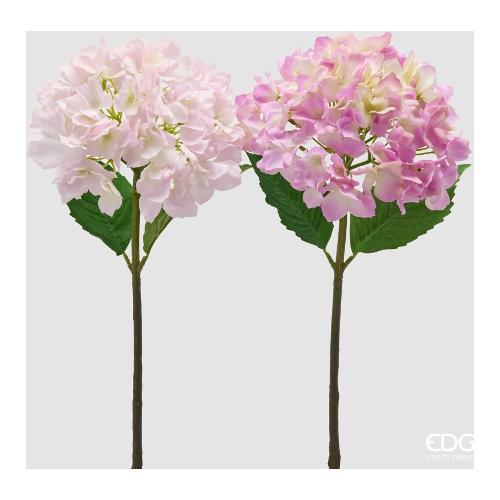 Edg Stelo Ortensia  TT Pink (50cm) assortito 2100670A555