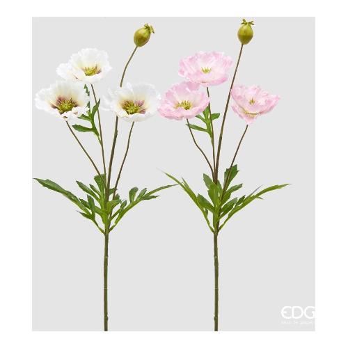 Edg Stelo Papavero (70cm) assortito 2100637A150