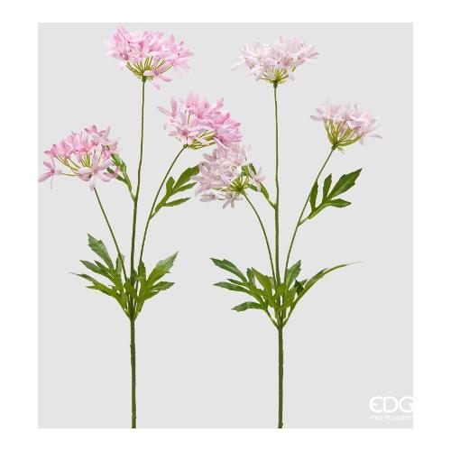 Edg Stelo Petrea  White green (72cm) assortito 2100609A170