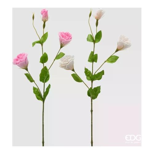 Edg Stelo Lisiantus  White pink (71cm) assortito 2100600A150