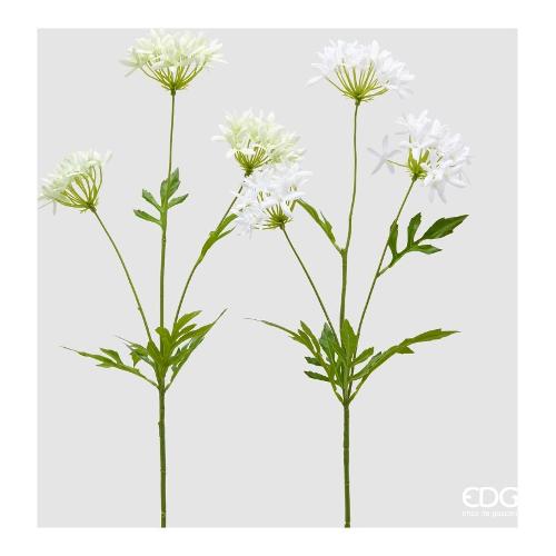 Edg Stelo Petrea  Violet (72cm) assortito 2100609A699