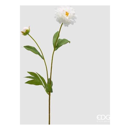 Edg Stelo Peonia white (60cm) 2100398A100