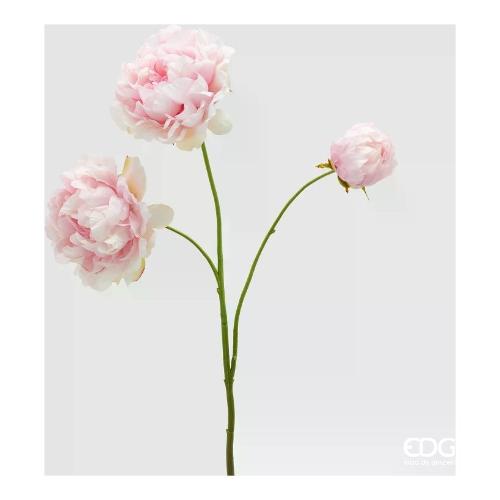 Edg Stelo Peonia pink (67cm) 2100569A500