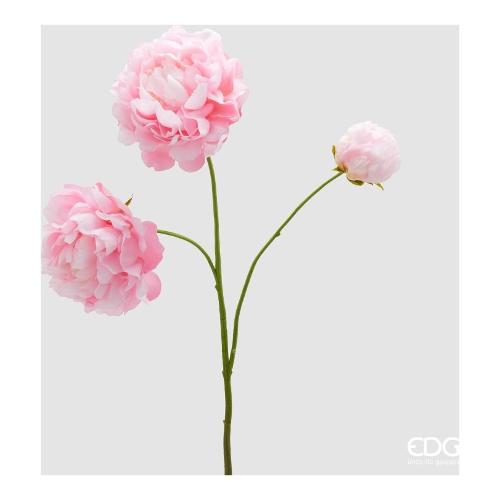 Edg Stelo Peonia dark pink (67cm) 2100569A553
