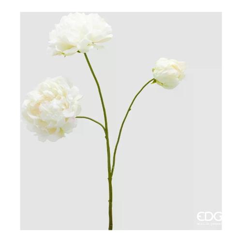 Edg Stelo Peonia ivory (67cm) 2100569A110