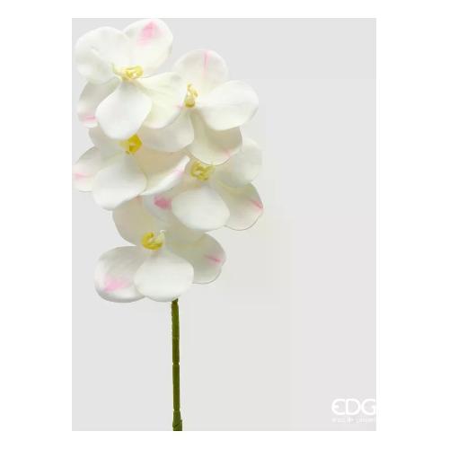 Edg Stelo Orchidea Vanda ivory (65cm) 2100610A110