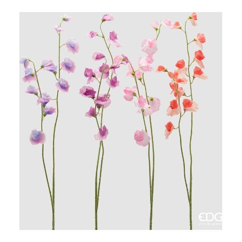 Edg Stelo Sweet Peas melange Pink (90cm) assortito 2100429A599