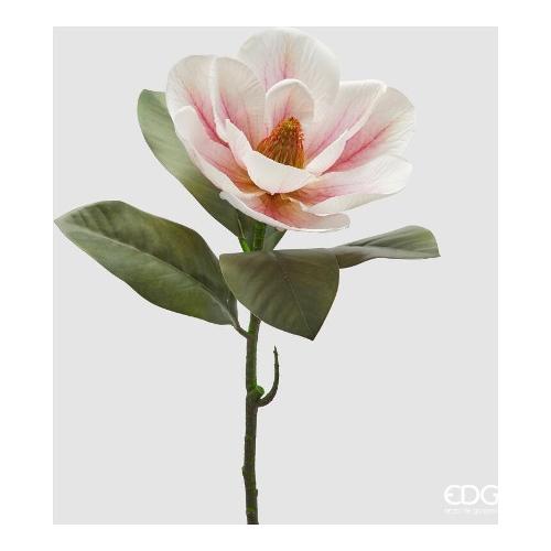 Edg Stelo Magnolia white pink (64cm) 2100488A150