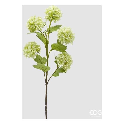 Edg Stelo Stelo viburno light green (80cm) 2100299A771