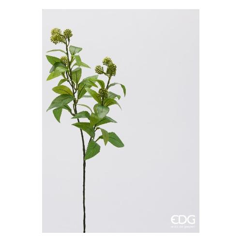 Edg Stelo Stelo viburno light green (63cm) 2300520A771