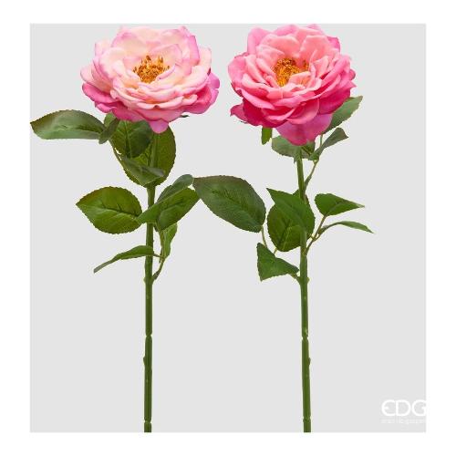 Edg Stelo Stelo rosa  Pink cream (58cm) assortito 2100673A554