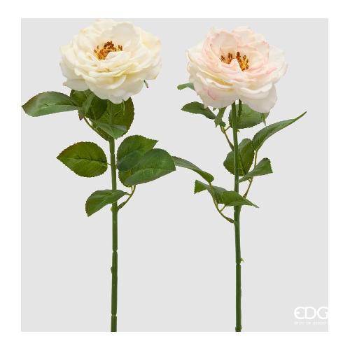 Edg Stelo Stelo rosa  White pink (58cm) assortito 2100673A150