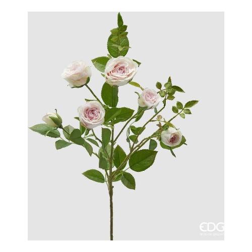Edg Stelo Stelo rosa pink cream (55cm) 2100289A554