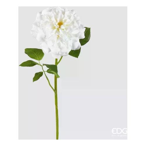 Edg Stelo Stelo rosa jumbo white (80cm) 2100382A100