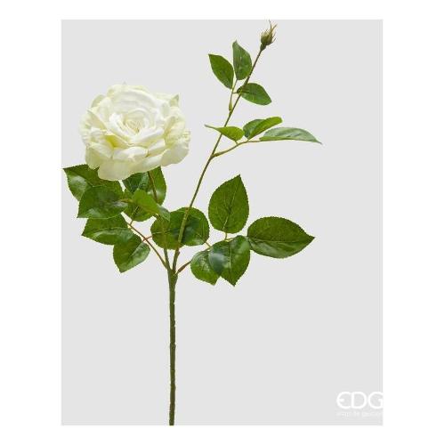 Edg Stelo Stelo rosa light green (60cm) 2100404A771