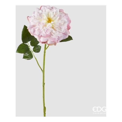 Edg Stelo Stelo rosa jumbo pink cream (80cm) 2100382A554