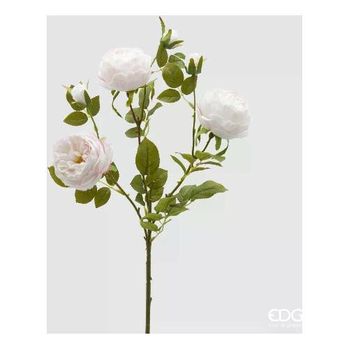 Edg Stelo Stelo rosa sonia pale pink (65cm) 2100308A551