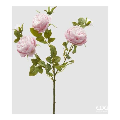 Edg Stelo Stelo rosa sonia pink (65cm) 2100308A500