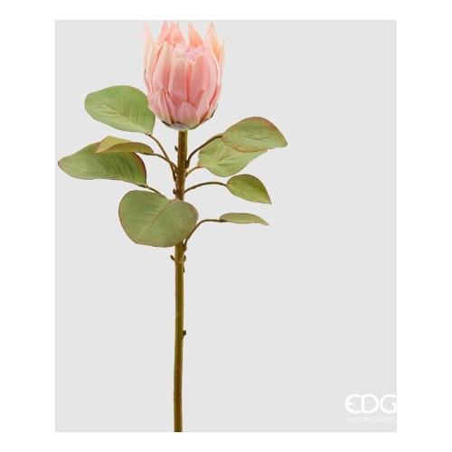 Edg Stelo Protea pink cream (68cm) 215521 540